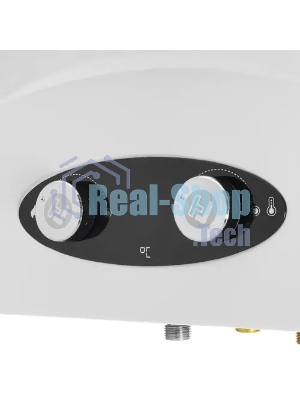 Колонка газовая Thermex G 20 D Eco белый