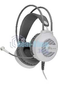 Гарнитура проводная с микрофоном Оклик HS-L300G White белый 2.2м мониторные USB оголовье (1796952)