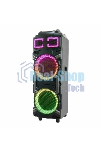 Колонка ELTRONIC 10