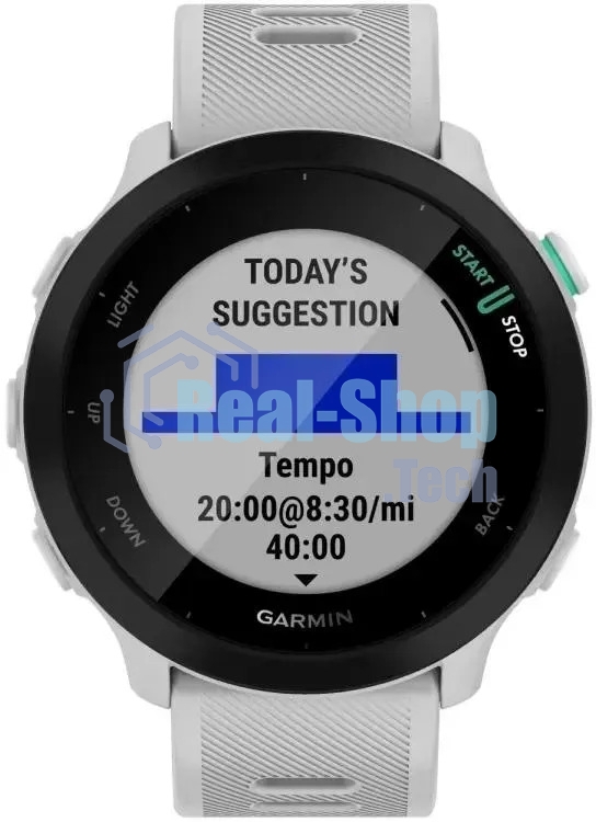 Умные часы Garmin Forerunner 55, 1.04
