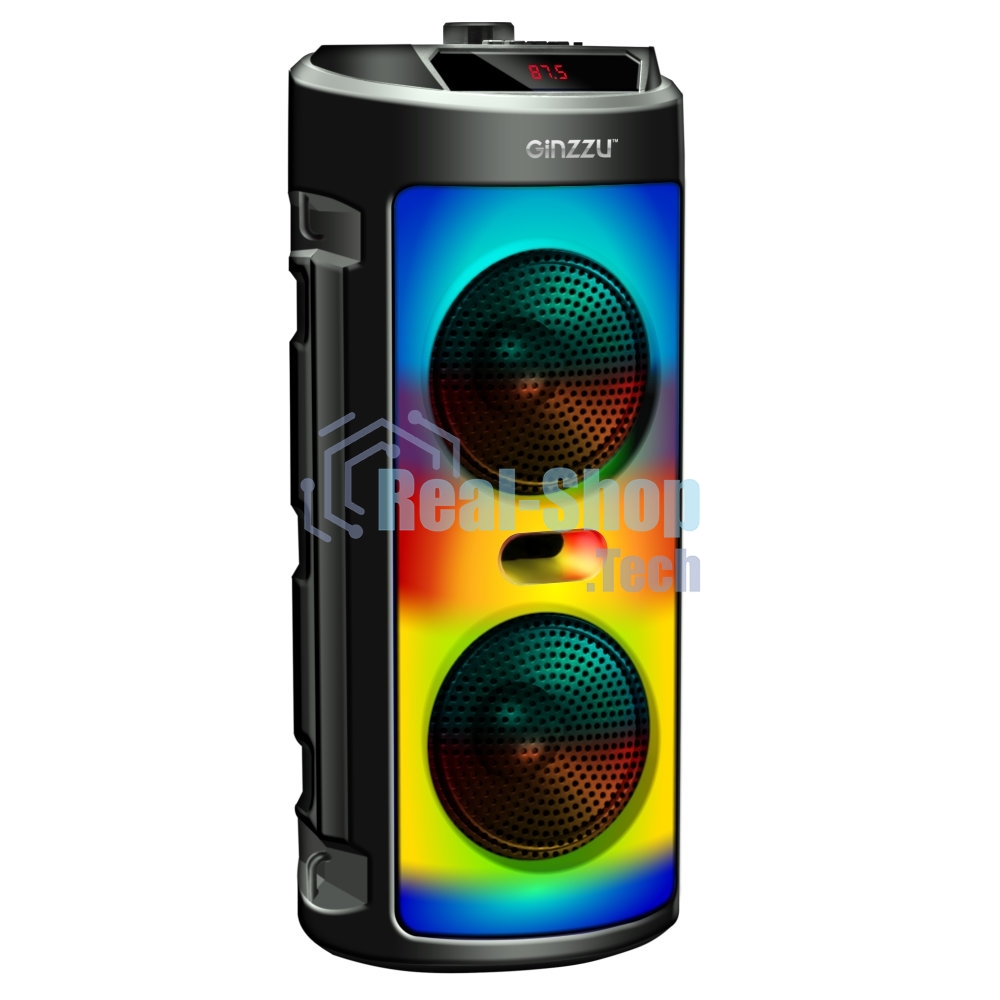 Акустическая система Midi GM-231 TWS/BT/USB/TF/FM/ДУ черный