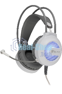 Гарнитура проводная с микрофоном Оклик HS-L300G White белый 2.2м мониторные USB оголовье (1796952)