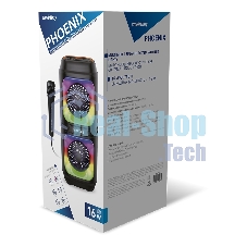 Портативная акустика Smartbuy (SBS-5490) PHOENIX черный