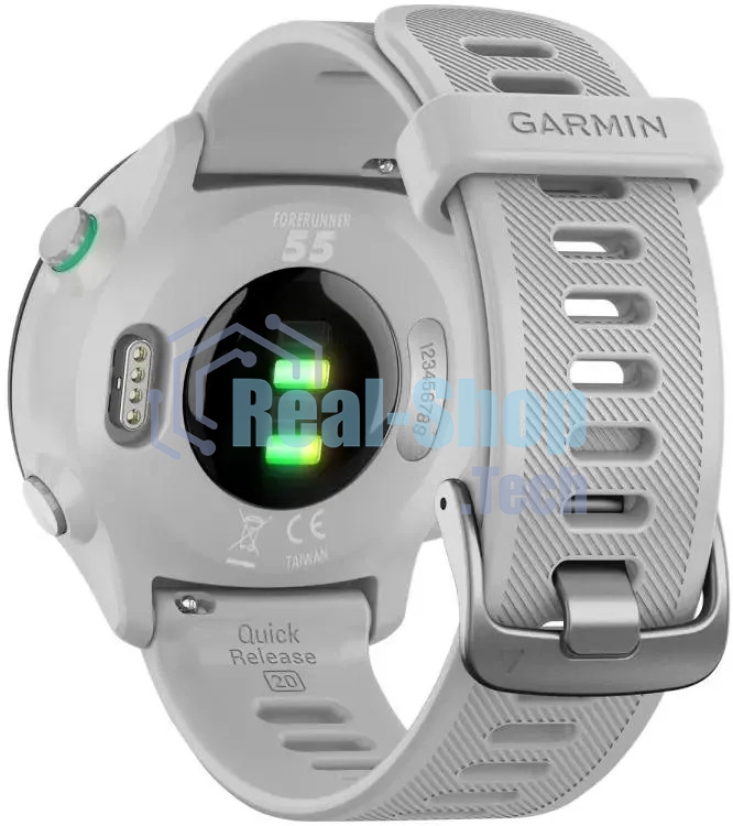 Умные часы Garmin Forerunner 55, 1.04