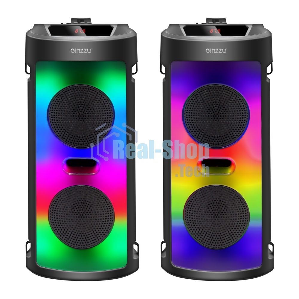 Акустическая система Midi GM-231 TWS/BT/USB/TF/FM/ДУ черный