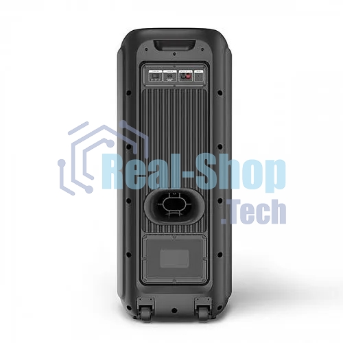 Портативная Bluetooth-колонка BQ PBS2010 черный 100 Вт