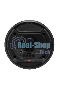 Акустическая система Midi GM-231 TWS/BT/USB/TF/FM/ДУ черный