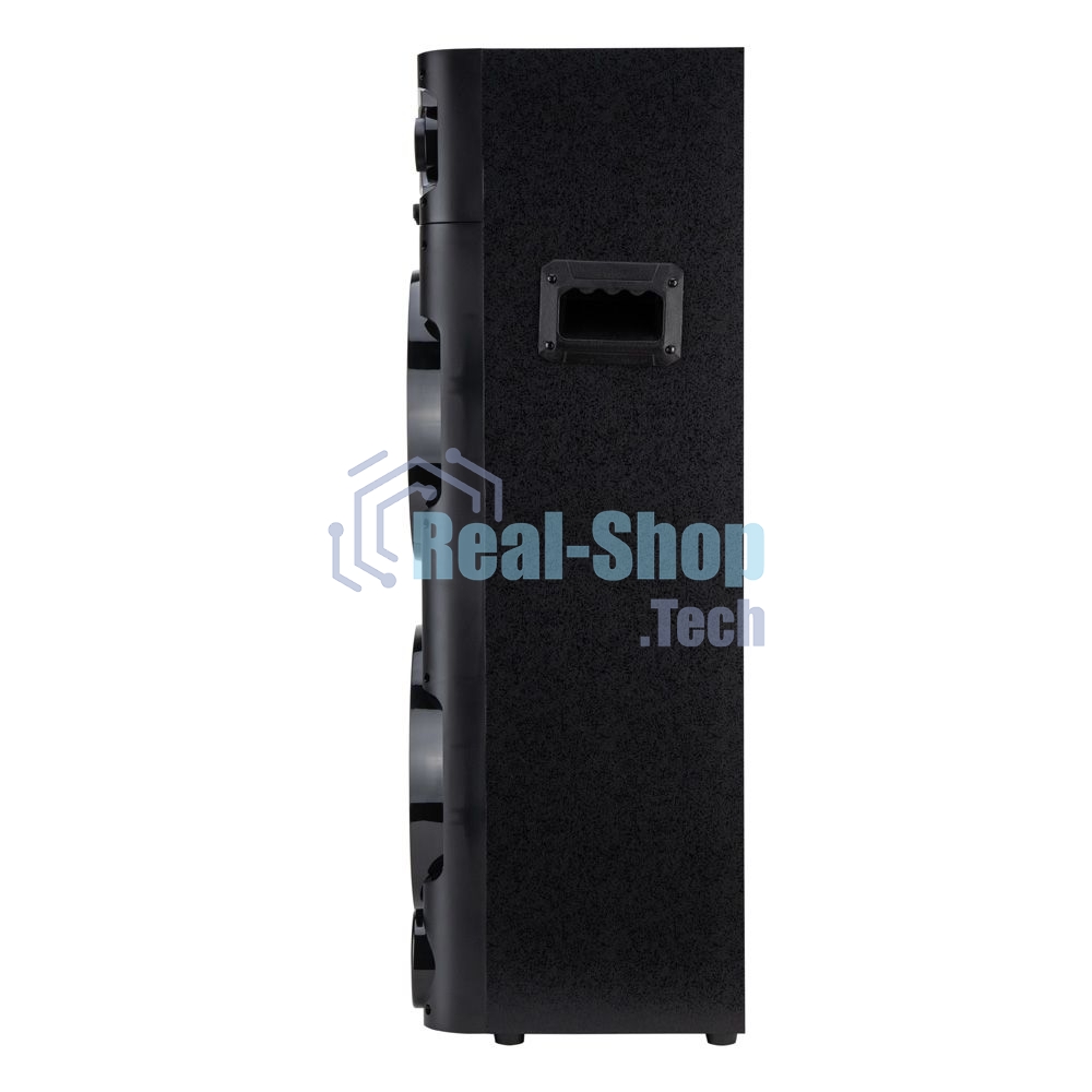 Колонка Eltronic 10