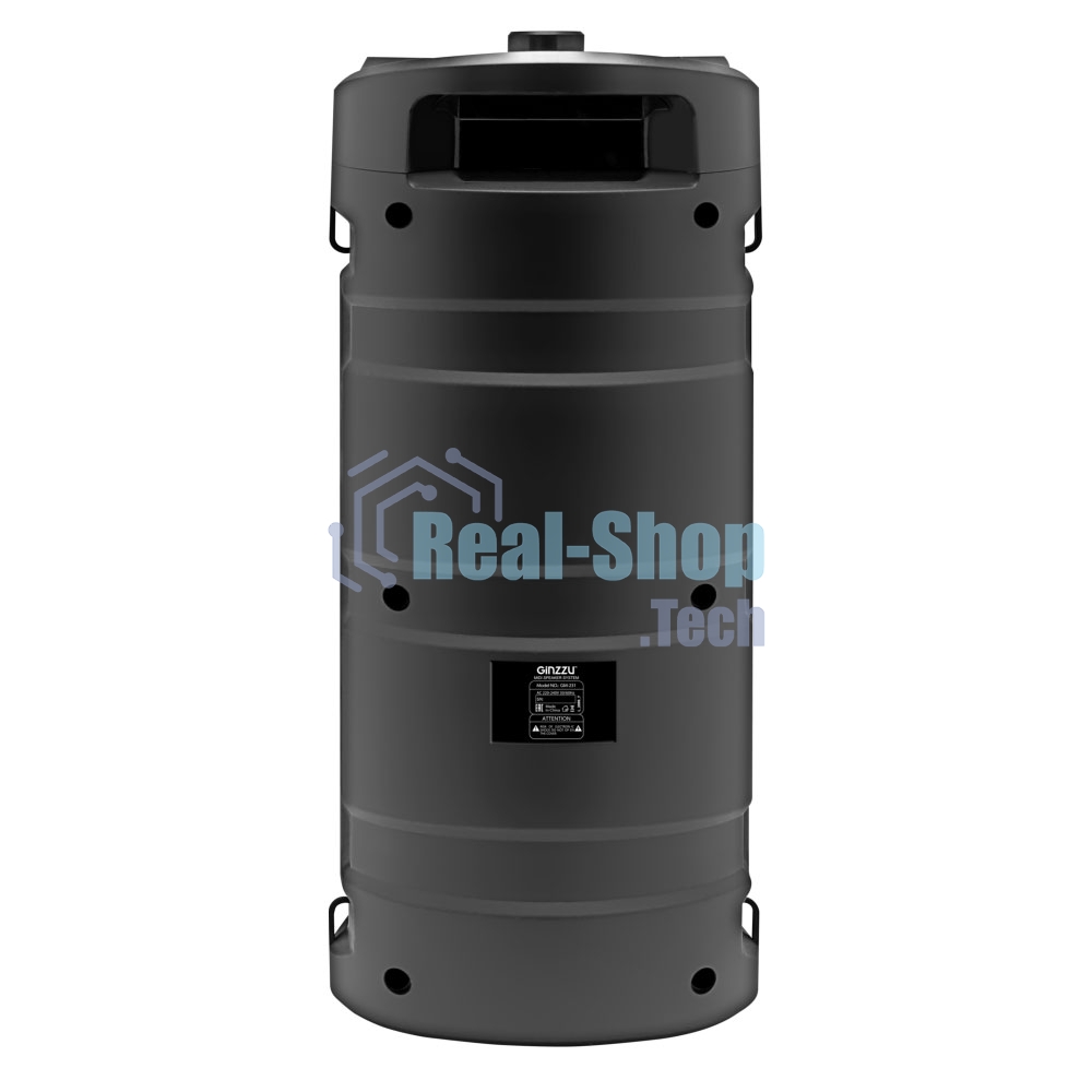 Акустическая система Midi GM-231 TWS/BT/USB/TF/FM/ДУ черный