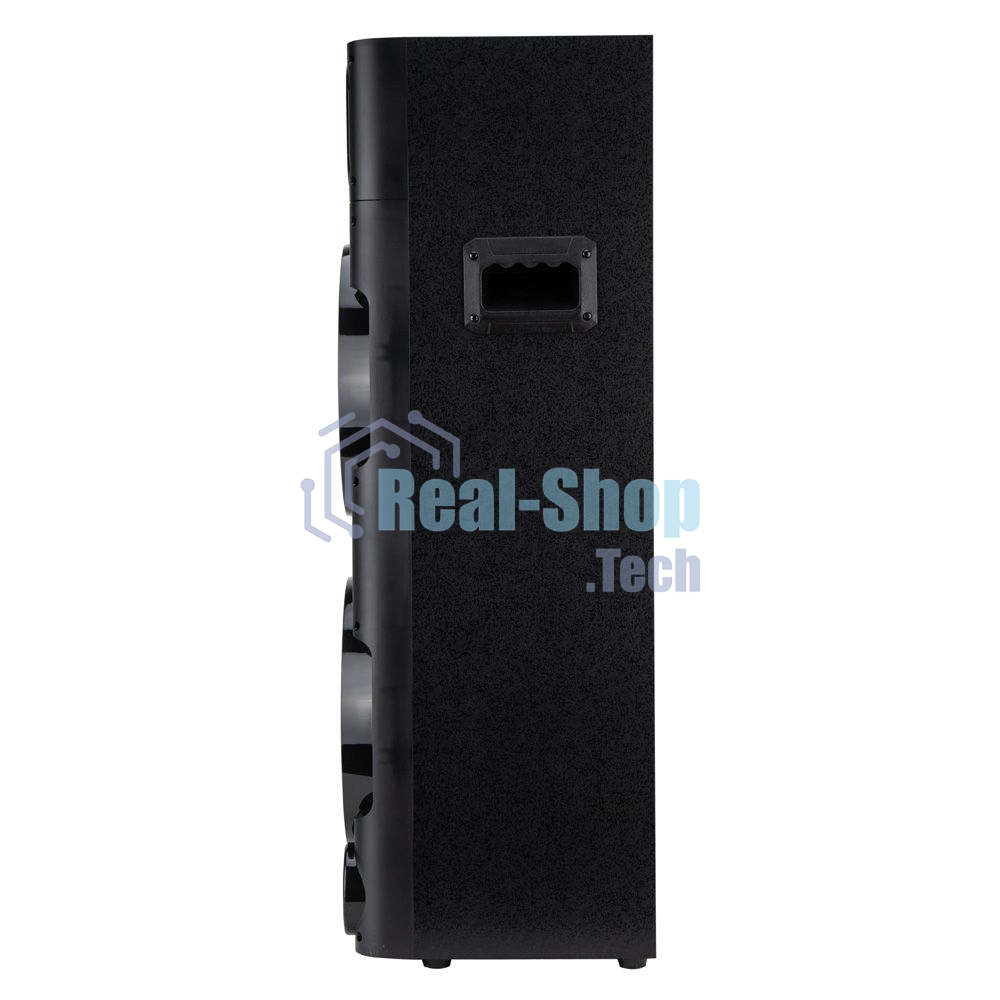 Колонка Eltronic 10