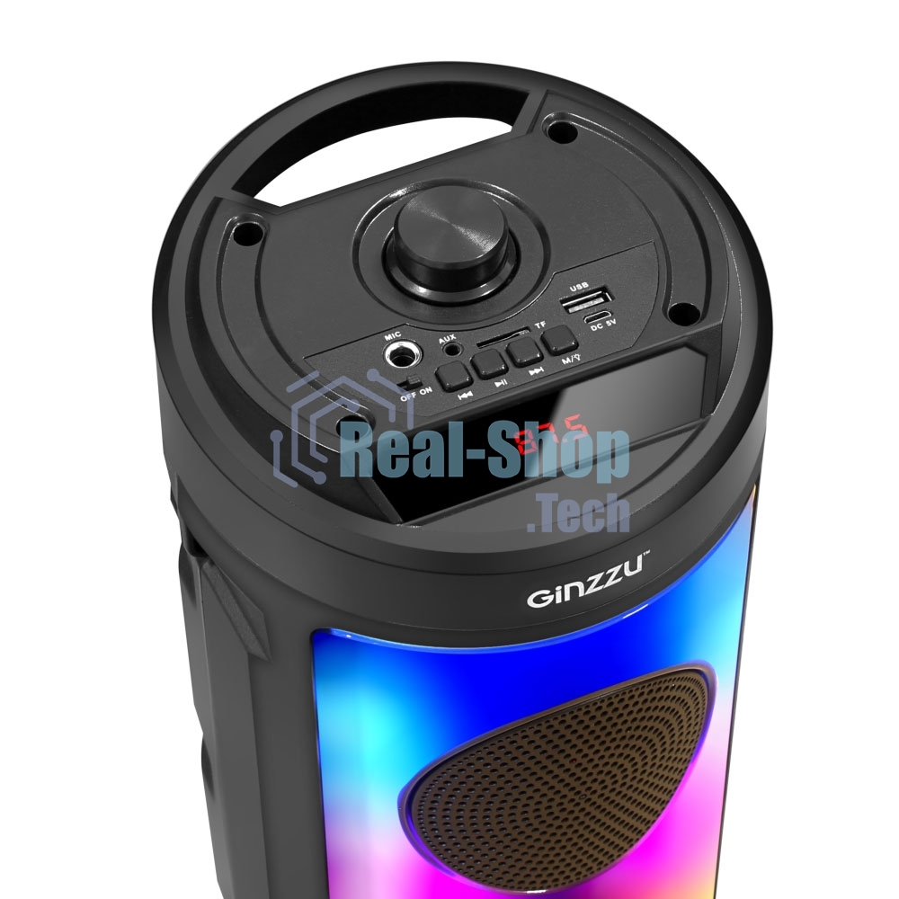 Акустическая система Midi GM-231 TWS/BT/USB/TF/FM/ДУ черный