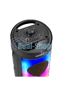 Акустическая система Midi GM-231 TWS/BT/USB/TF/FM/ДУ черный