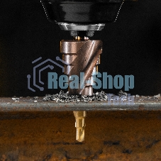 Сверло ступенчатое Denzel 4-6-8-10-12-14-16-18-20 мм, Р6М5К5, 6-гр. хвостовик 723613