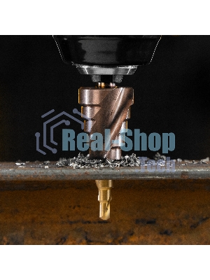 Сверло ступенчатое Denzel 4-6-8-10-12-14-16-18-20 мм, Р6М5К5, 6-гр. хвостовик 723613