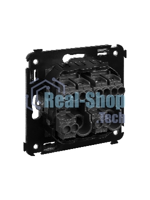 Кнопка двухклавишная DKC Avanti 4412154 