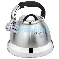 Чайник со свистком Zeidan Z-4465 3 л
