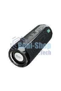 Колонка портативная More Choice (4610196400872) BS22 черный