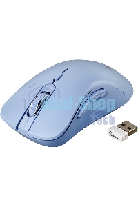 Мышь беспроводная Smartbuy (SBM616AGB) 616AG голубой