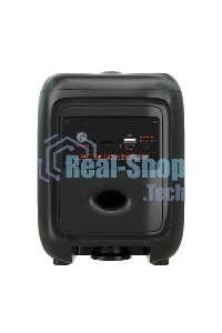 Колонка портативная MORE CHOICE (4620202550088) BS65 черный