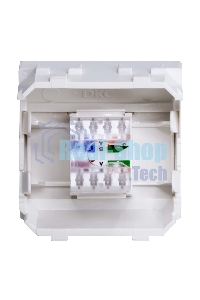 Розетка компьютерная DKC Brava 76655B R J 45 кат. 5e, белая, 2 мод