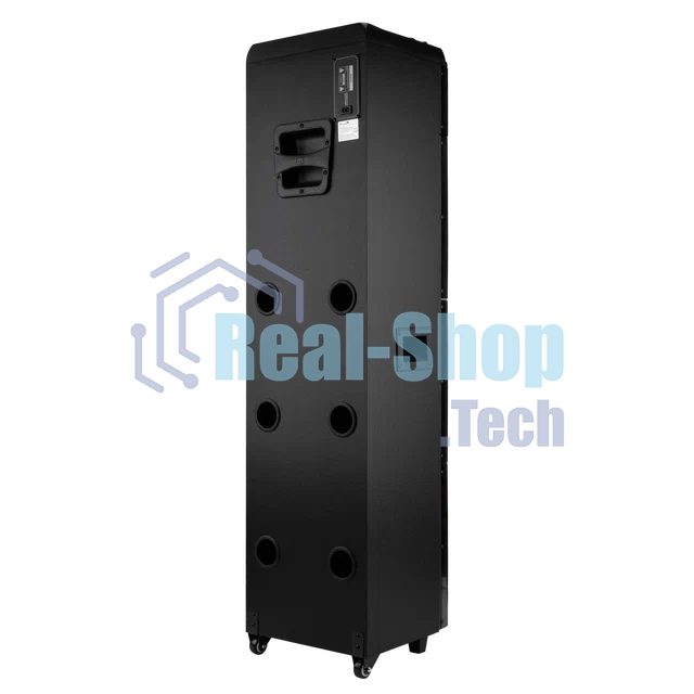 Колонка ELTRONIC (20-26) SKILLETS BOX 3500 - 10