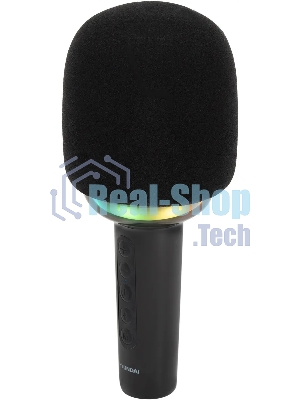 Микрофон беспроводной Hyundai H-MIC100 черный