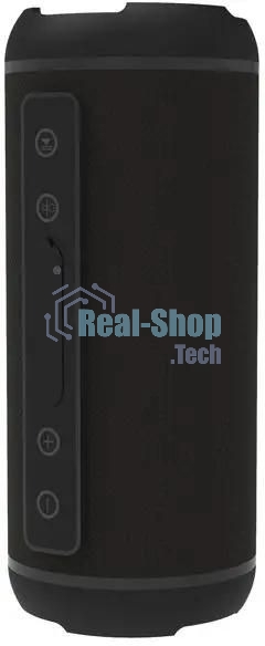 Портативная колонка Ritmix SP-320B черный