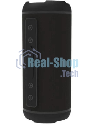 Портативная колонка Ritmix SP-320B черный