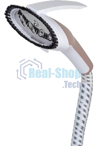 Вертикальный отпариватель BQ SG5007S Шампань