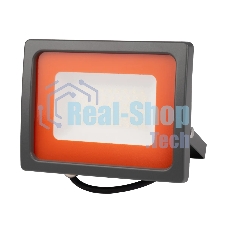 Прожектор JazzWay LED PFL-SC-SMD-50Вт 50Вт IP65 6500К мат. стекло
