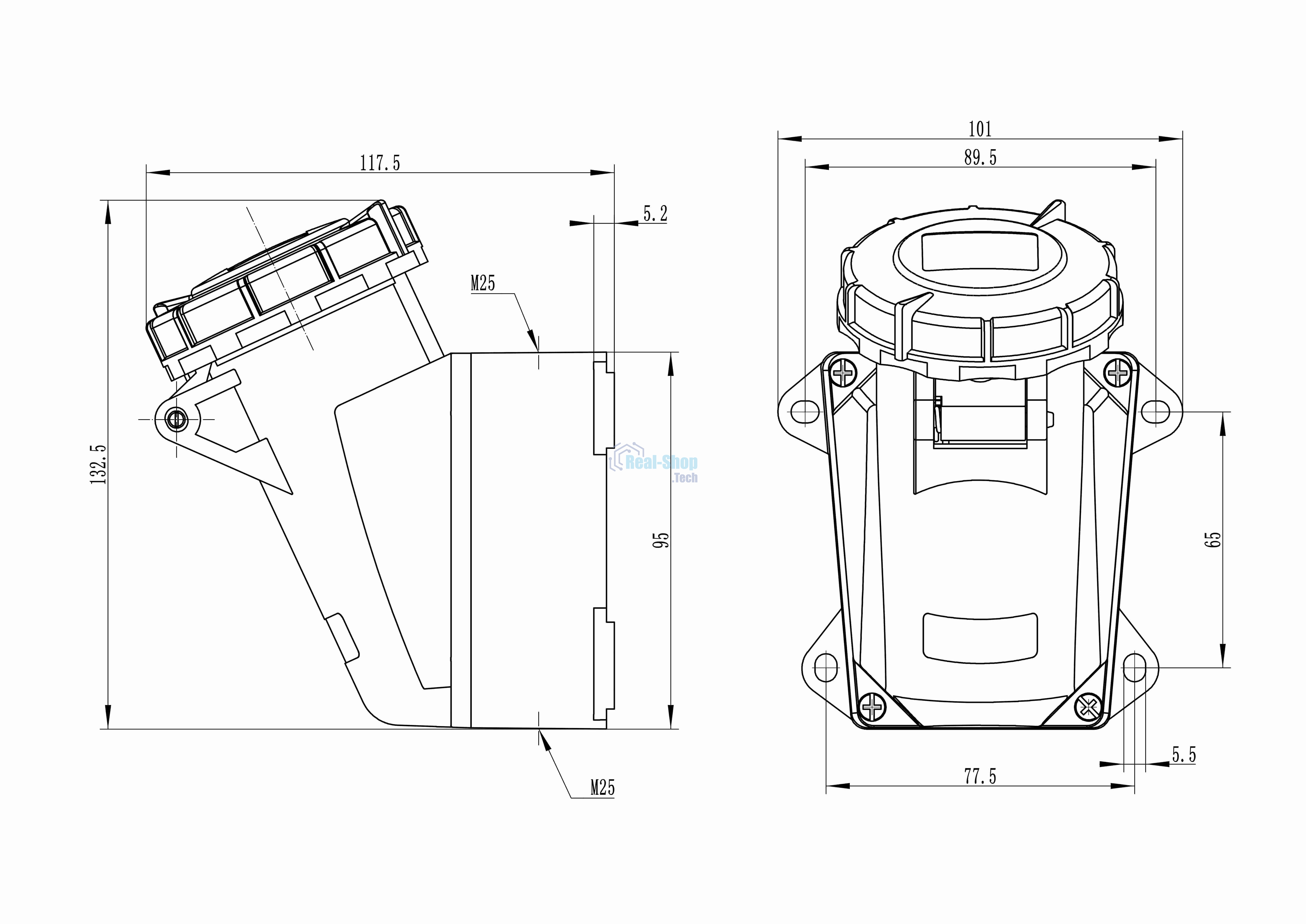 Розетка наружная DKC DIS5181653T 16А 230В 2P+E IP67