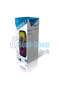 Портативная акустика Smartbuy (SBS-5780) ARISAKA 2