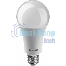 Лампа светодиодная ОНЛАЙТ 61954 OLL-A60-25-230-4K-E27 25 Вт