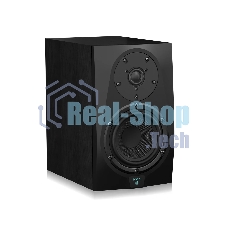 Акустическая система (студийный монитор) 110302A1001 Icon DT-6S активный, 2-х полосный, 1