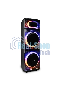 Акустическая система ELTRONIC (30-74) SKILLETS BOX 2500 - колонка 12