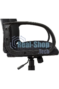 Кресло руководителя Бюрократ CH-808AXSN/TW-12 серый TW-12