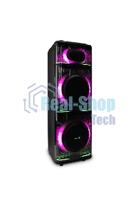 Акустическая система ELTRONIC (30-74) SKILLETS BOX 2500 - колонка 12