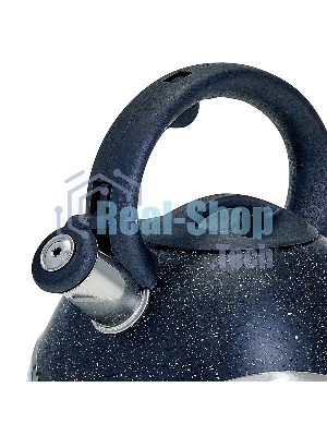 Чайник для плиты со свистком WEBBER BE-0574 3 л черный