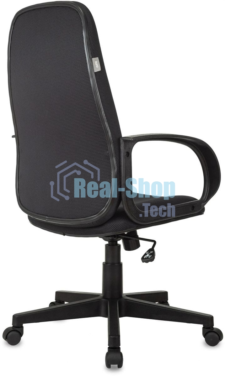 Кресло руководителя Бюрократ CH-808AXSN/TW-12 серый TW-12