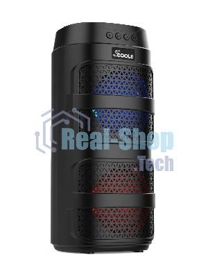 Портативная колонка SCOOLE SL-PS5043B чёрный