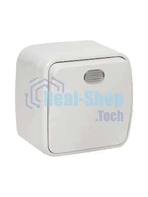 Выключатель 1-клавишный EKF Basic Минск ОП 10А с индикатором белый