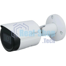 Камера видеонаблюдения IP Dahua DH-IPC-HFW2230SP-S-0360B-S2(QH3) 3.6-3.6мм цв. (DH-IPC-HFW2230SP-S-0360B-S2)