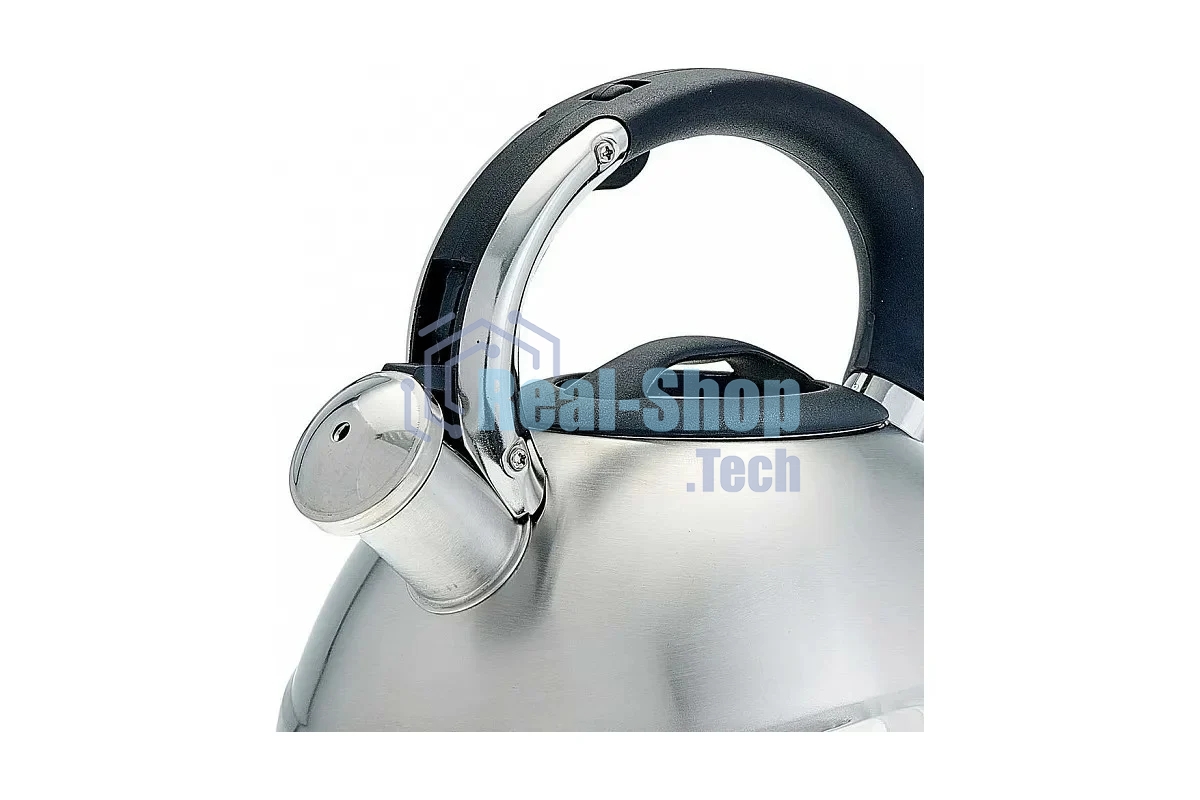 Чайник для плиты ALPENKOK AK-531 3 л