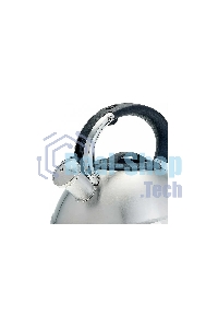 Чайник для плиты ALPENKOK AK-531 3 л