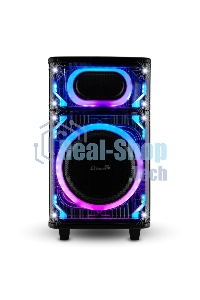 Колонка ELTRONIC (30-82) SKILLETS BOX 1000 - 10 