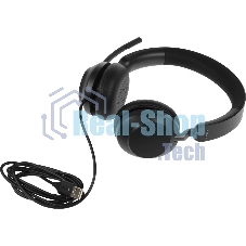 Наушники с микрофоном Jabra Evolve2 40 черный накладные USB оголовье (24189-999-999)