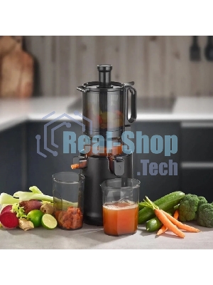 Соковыжималка CASO Juice Fit Pro черный, шнековая вертикальная, 250 Вт, 1000 мл, электронное, реверс