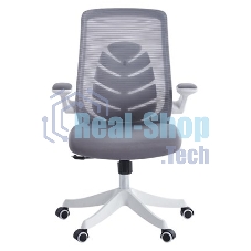 Кресло офисное для оператора Chairman CH565 серый, белый пластик