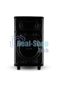 Колонка ELTRONIC (30-82) SKILLETS BOX 1000 - 10 