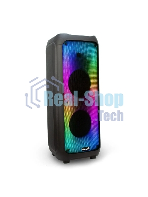 Колонка Eltronic 10